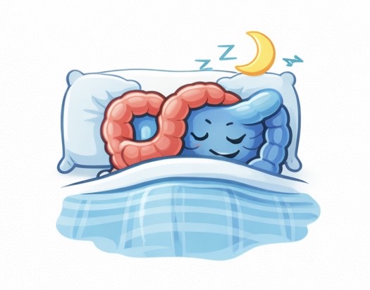 Sleep Hygiene and IBS: Improve Digestive Health Through Better Sleep